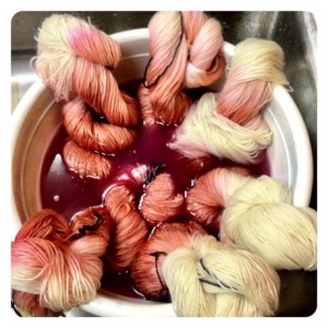 dyeing twisted skeins of yarn in red dye
