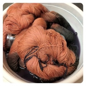 Dyeing wool shawl yarn with skeins microwave