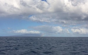humpback whale rainbow hawaii maui