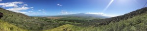 flyin hawaiian zipline