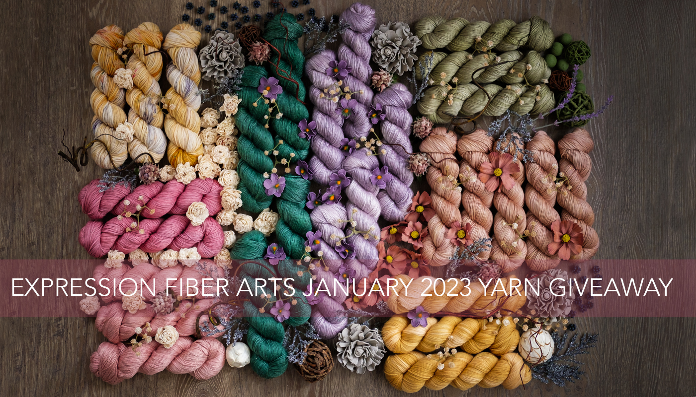 Beautiful Hand-Dyed Yarn Giveaway! ! - Expression Fiber Arts