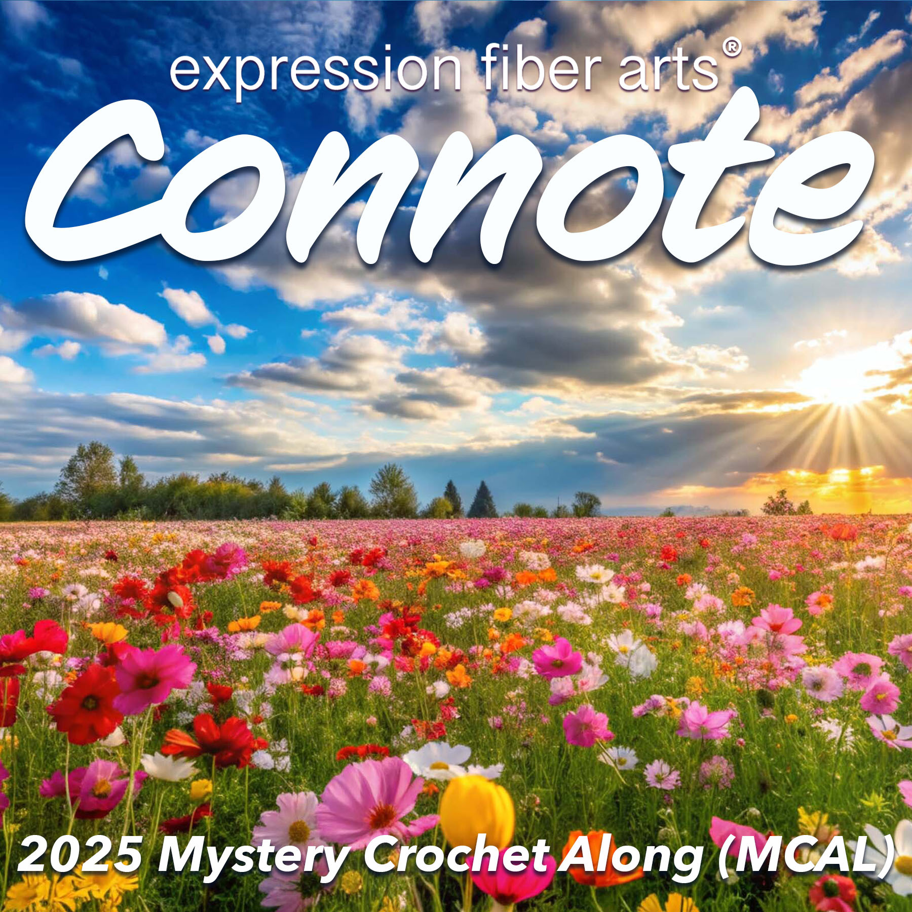 Join Us for Our 2025 Mystery Crochet Along (MCAL) – Connote – Expression Fiber Arts | A Positive Twist on Yarn