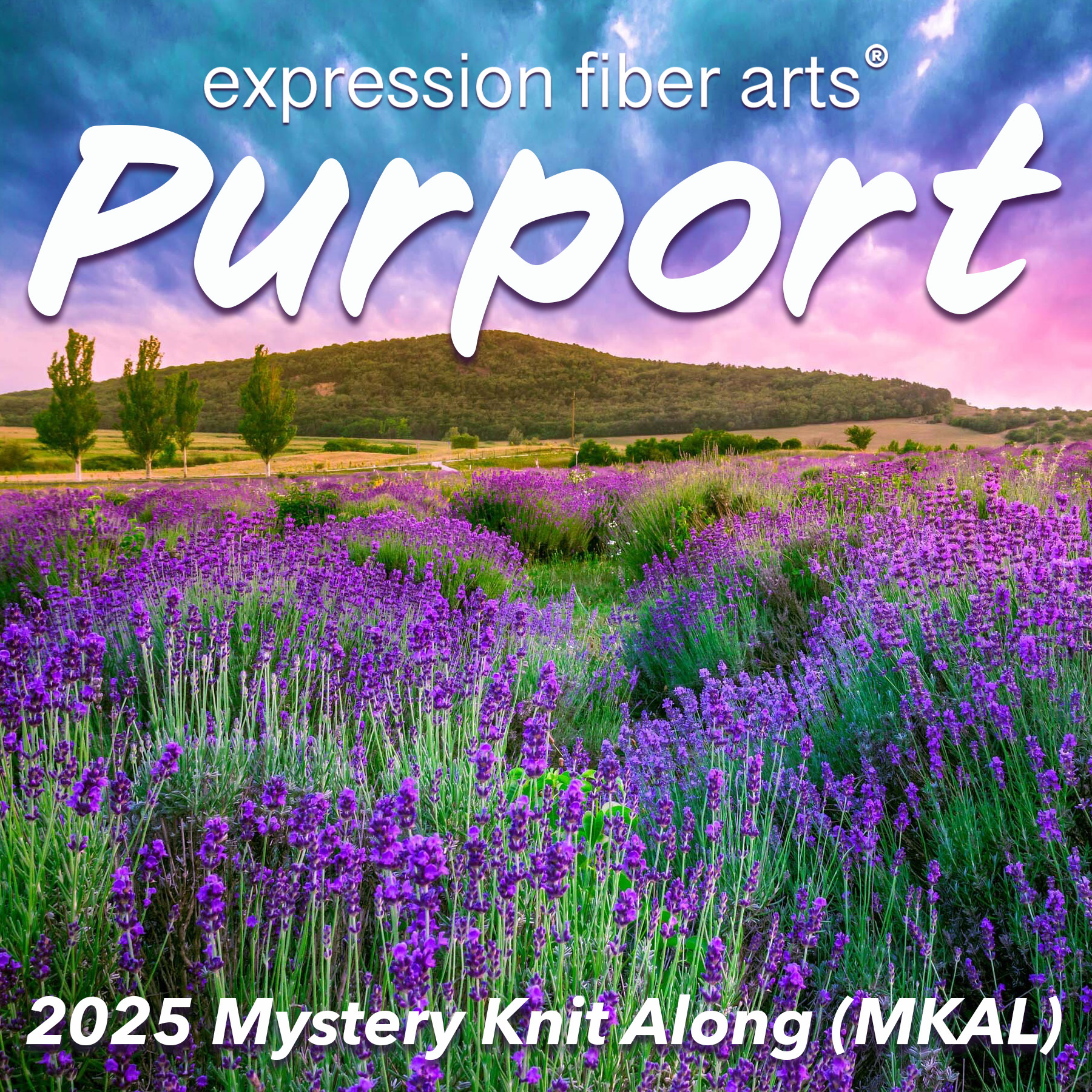 Announcing Clue 3 for Our 2025 Mystery Knit Along (MKAL) – Purport – Expression Fiber Arts | A Positive Twist on Yarn