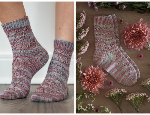 Knit the Lacy Abscission Socks Today!